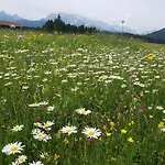 アパート Soiernblick Baernbichl *